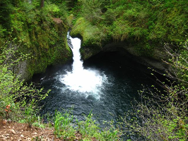 Eagle Creek-129.JPG - Punch Bowl Falls